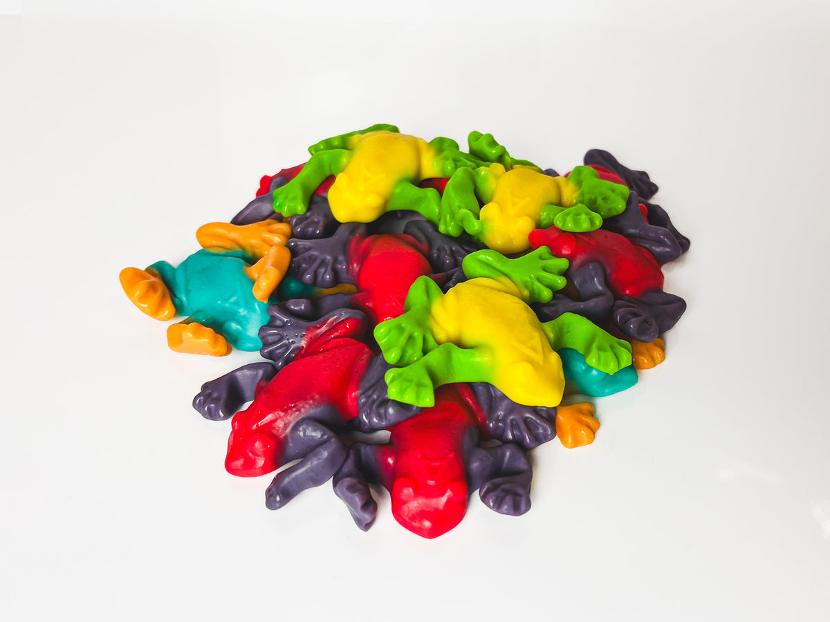 Rainforest Frogs