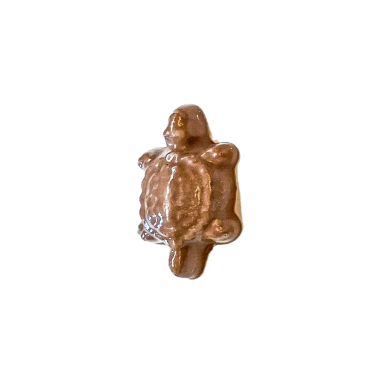 Turtle Mold